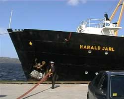 Harald Jarl